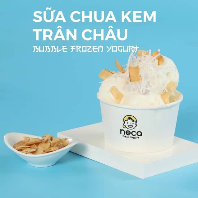 Giới thiệu về Sữa Chua Neca